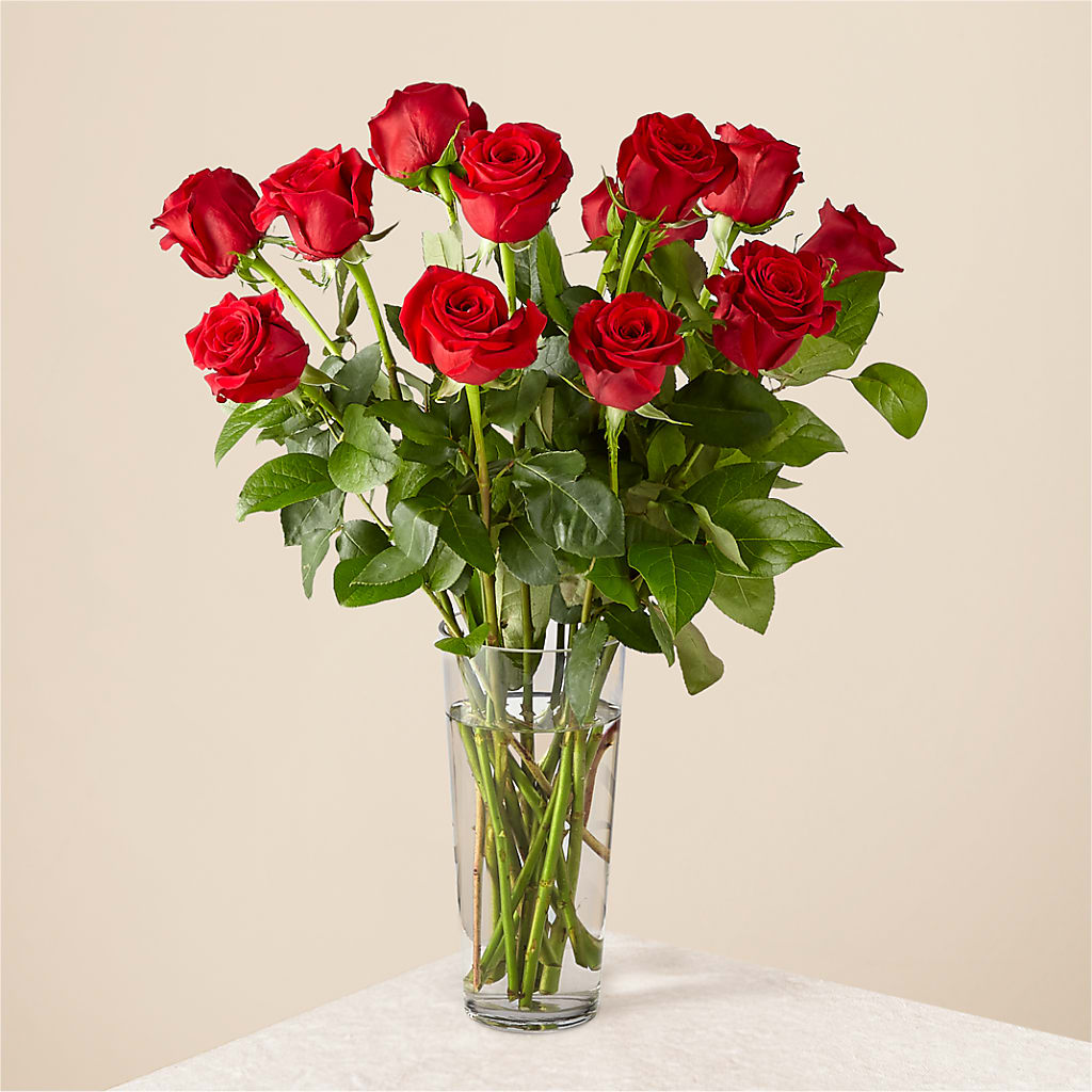 Long Stem Red Rose Bouquet – The Whiting Flower Shop, Whiting IN