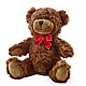 Adorable Plush Bear – The Whiting Flower Shop, Whiting IN