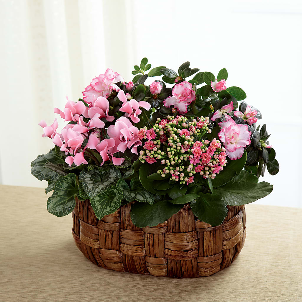 Pink Assortment – The Whiting Flower Shop, Whiting IN