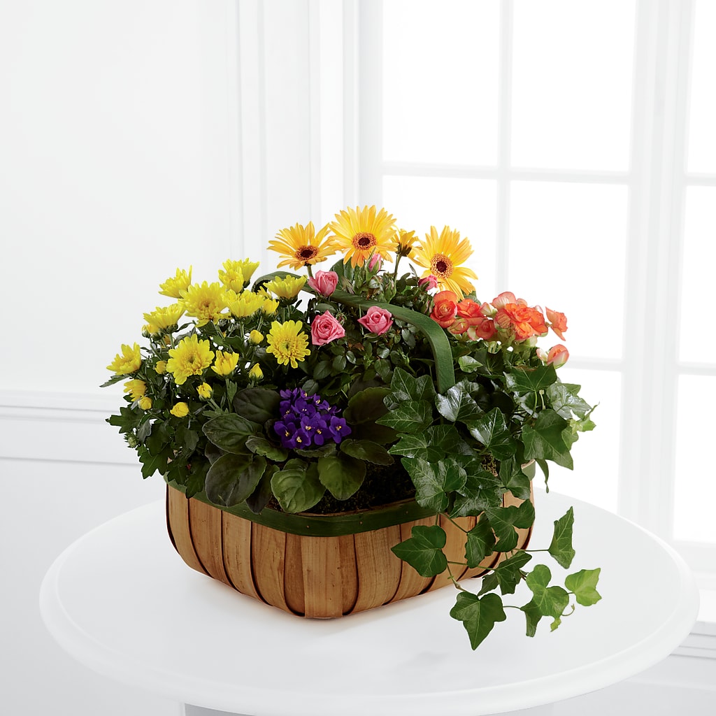 Gentle Blossoms Basket – The Whiting Flower Shop, Whiting IN