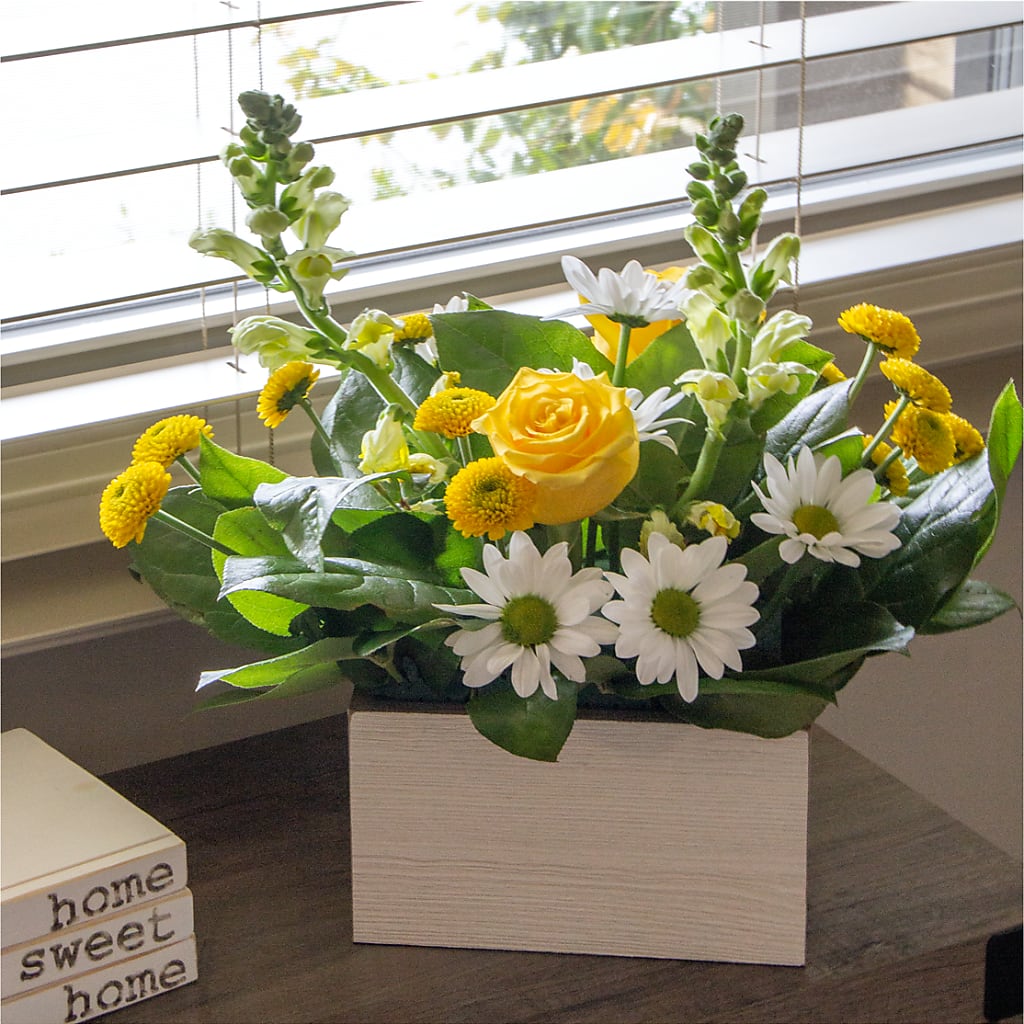 Sun Salutation Box Bouquet – The Whiting Flower Shop, Whiting IN