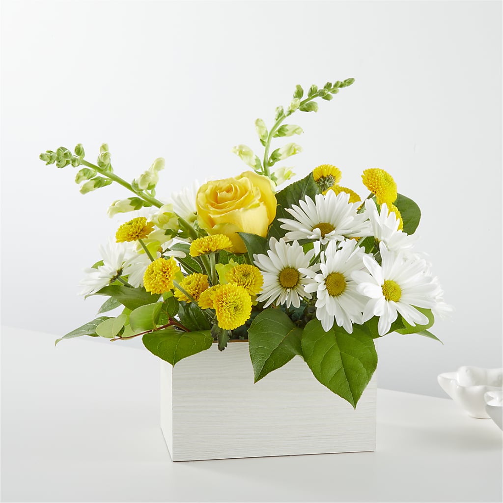 Sun Salutation Box Bouquet – The Whiting Flower Shop, Whiting IN