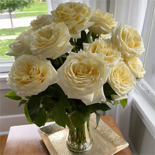 Long Stem Yellow Rose Bouquet – The Whiting Flower Shop, Whiting IN