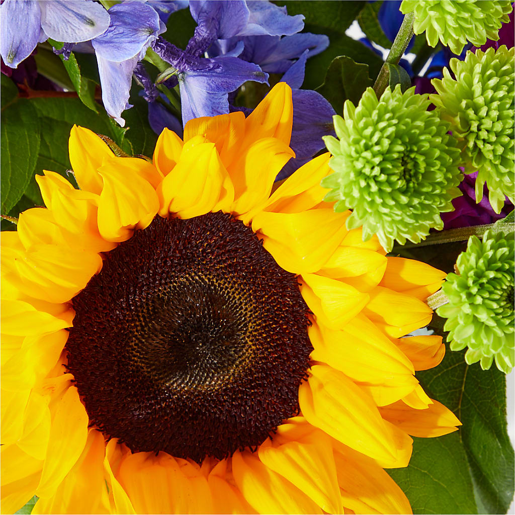 Catching Rays Bouquet – The Whiting Flower Shop, Whiting IN