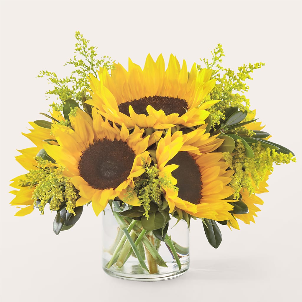 Beaming Sunflower Bouquet – The Whiting Flower Shop, Whiting IN
