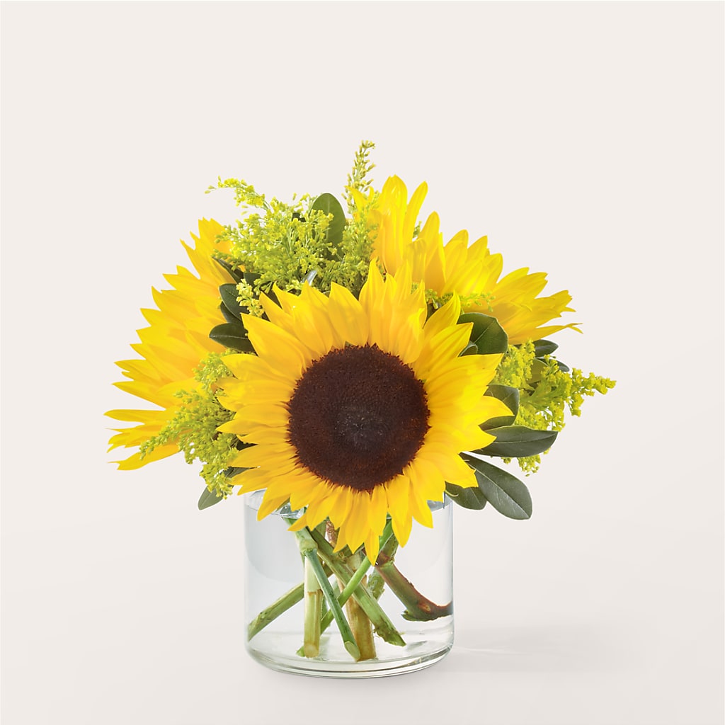 Beaming Sunflower Bouquet – The Whiting Flower Shop, Whiting IN