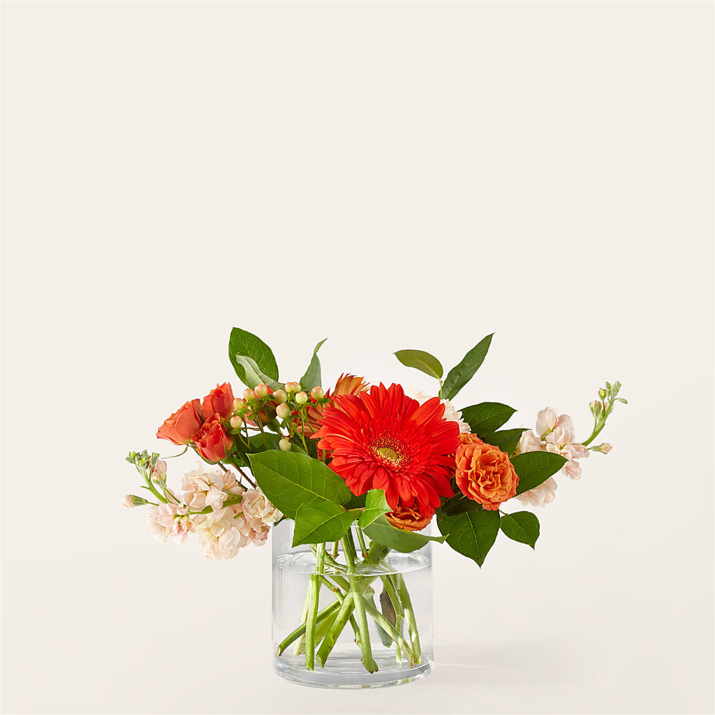 Paloma Please Bouquet – The Whiting Flower Shop, Whiting IN