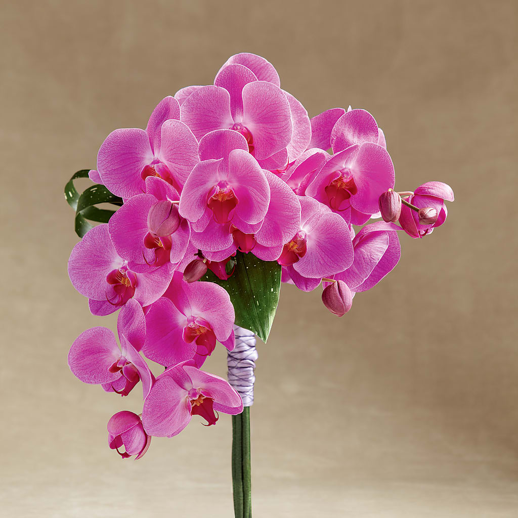 Glorious Bouquet – The Whiting Flower Shop, Whiting IN