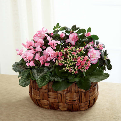 Pink Assortment –  The Whiting Flower Shop, Whiting IN