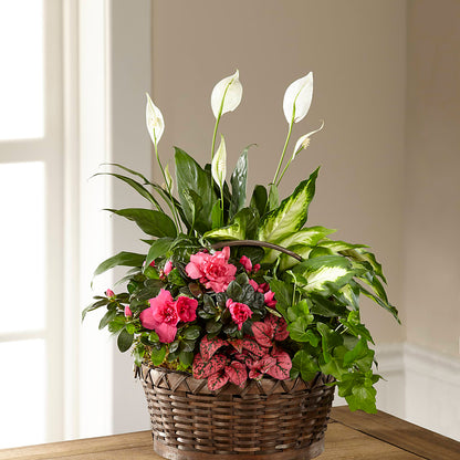 Dream in Pink Dishgarden –  The Whiting Flower Shop, Whiting IN