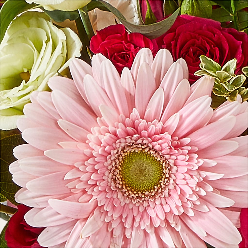 Too Cute Bouquet –  The Whiting Flower Shop, Whiting IN