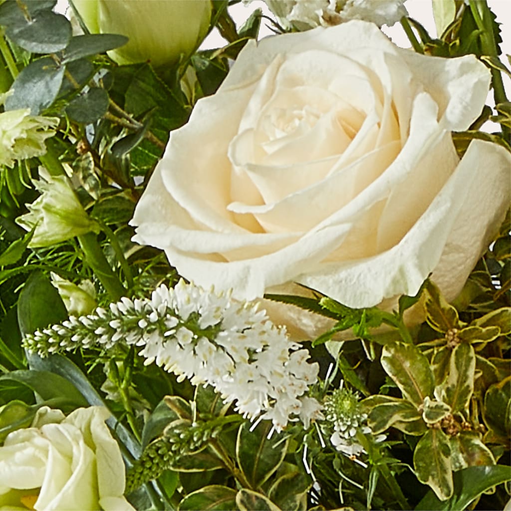 Cashmere Bouquet –  The Whiting Flower Shop, Whiting IN