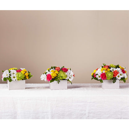 Sorbet Bouquet –  The Whiting Flower Shop, Whiting IN