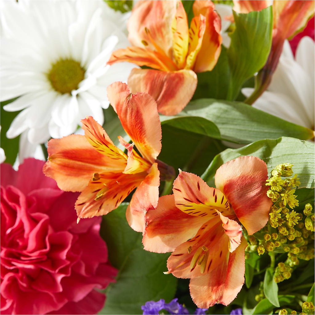 Oopsie Daisy Box Bouquet –  The Whiting Flower Shop, Whiting IN