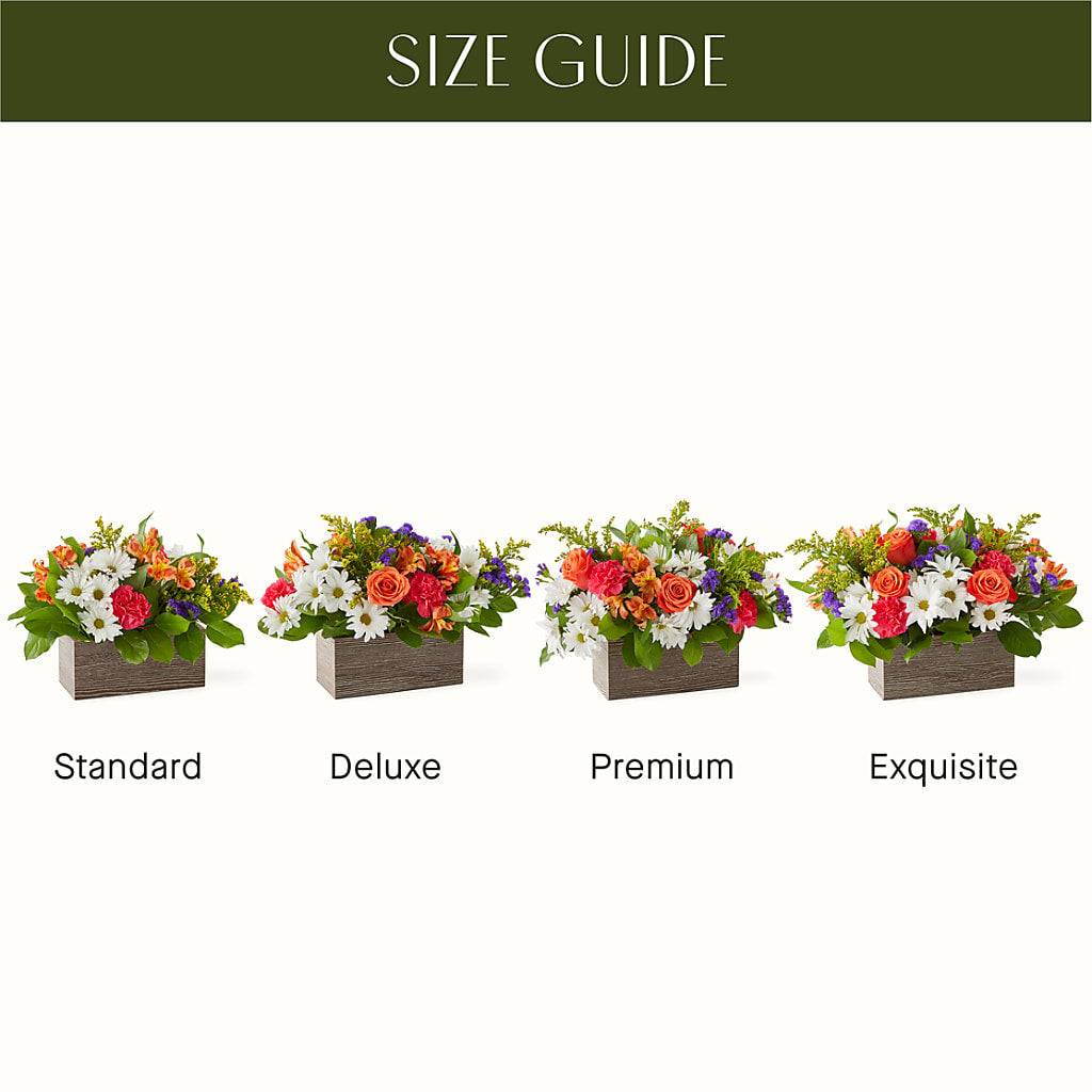 Oopsie Daisy Box Bouquet –  The Whiting Flower Shop, Whiting IN