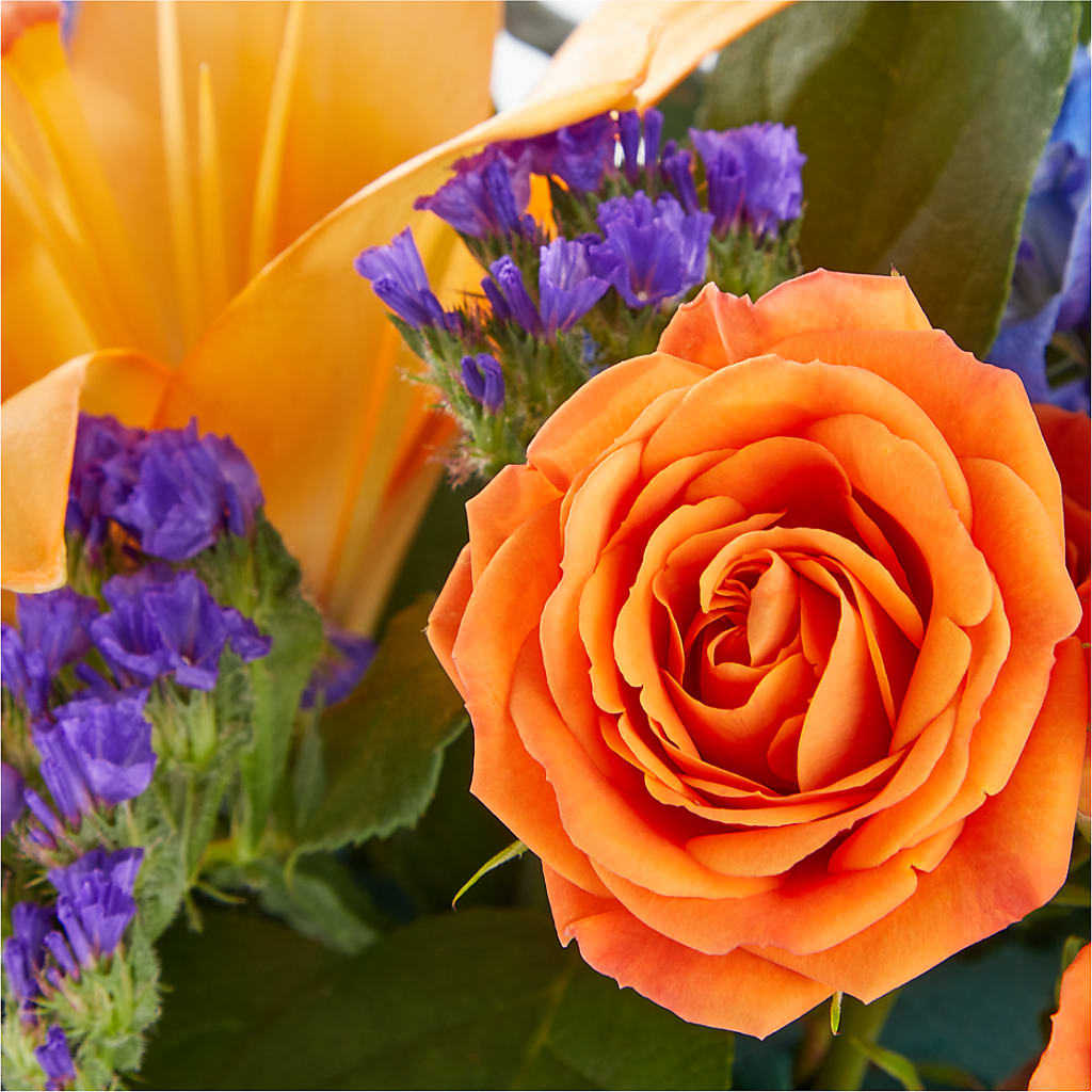 Radiant Citrus Box Bouquet –  The Whiting Flower Shop, Whiting IN