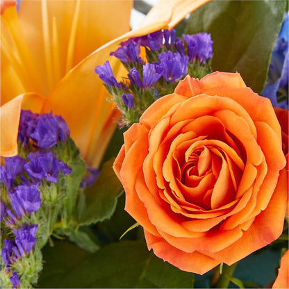 Radiant Citrus Box Bouquet –  The Whiting Flower Shop, Whiting IN