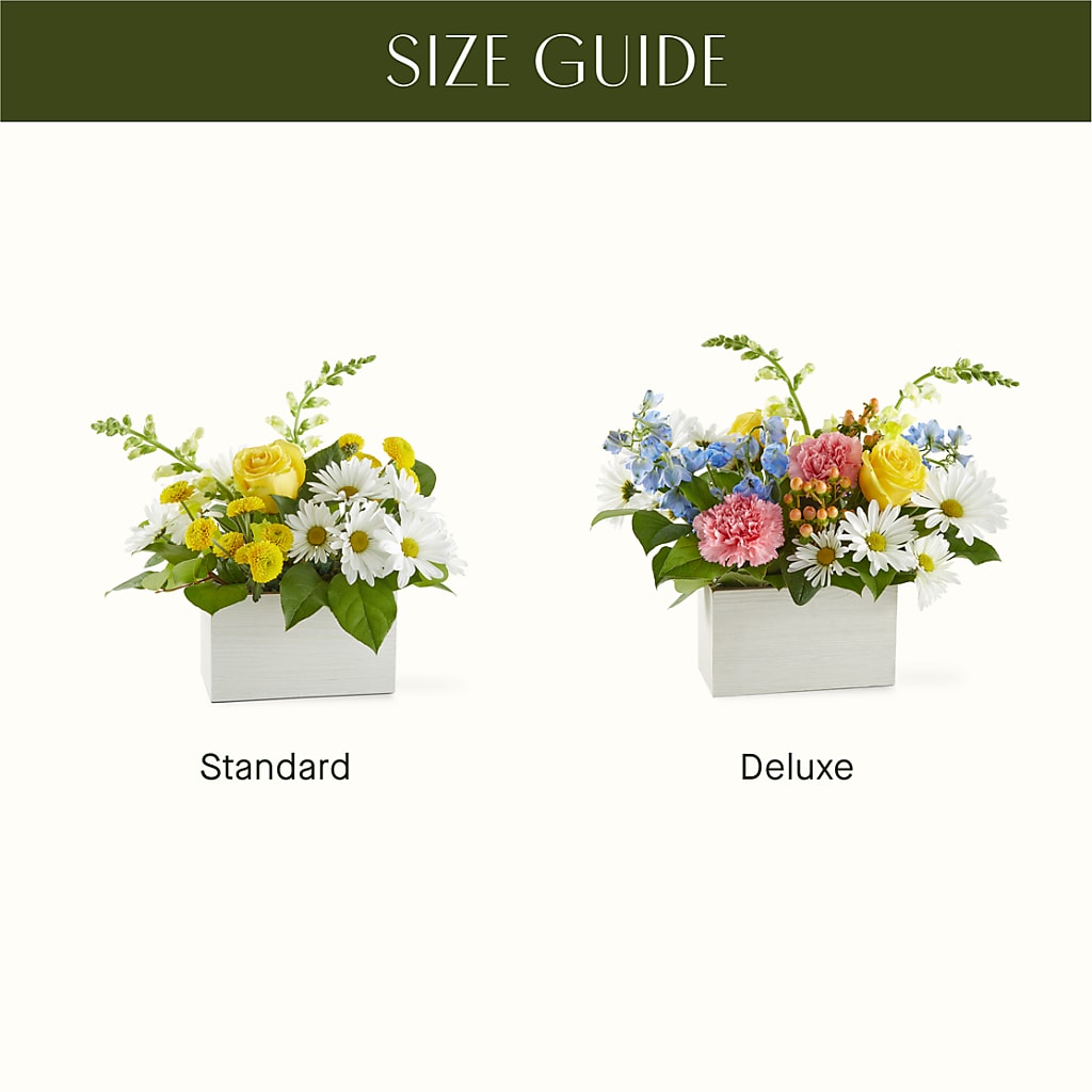 Sun Salutation Box Bouquet –  The Whiting Flower Shop, Whiting IN