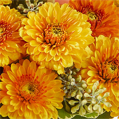 Peachy Pumpkin –  The Whiting Flower Shop, Whiting IN