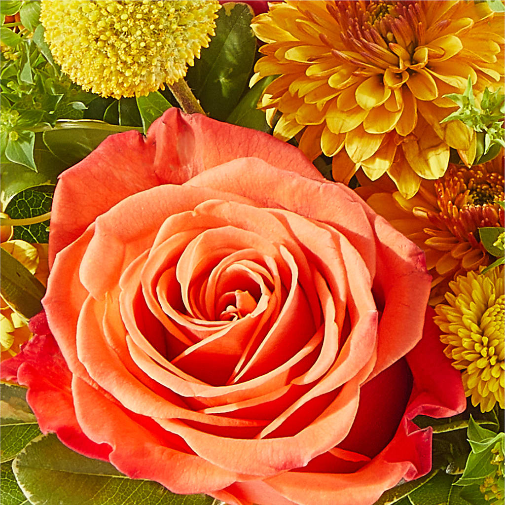 Gourdgeous Pumpkin –  The Whiting Flower Shop, Whiting IN