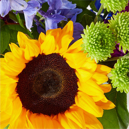 Catching Rays Bouquet –  The Whiting Flower Shop, Whiting IN