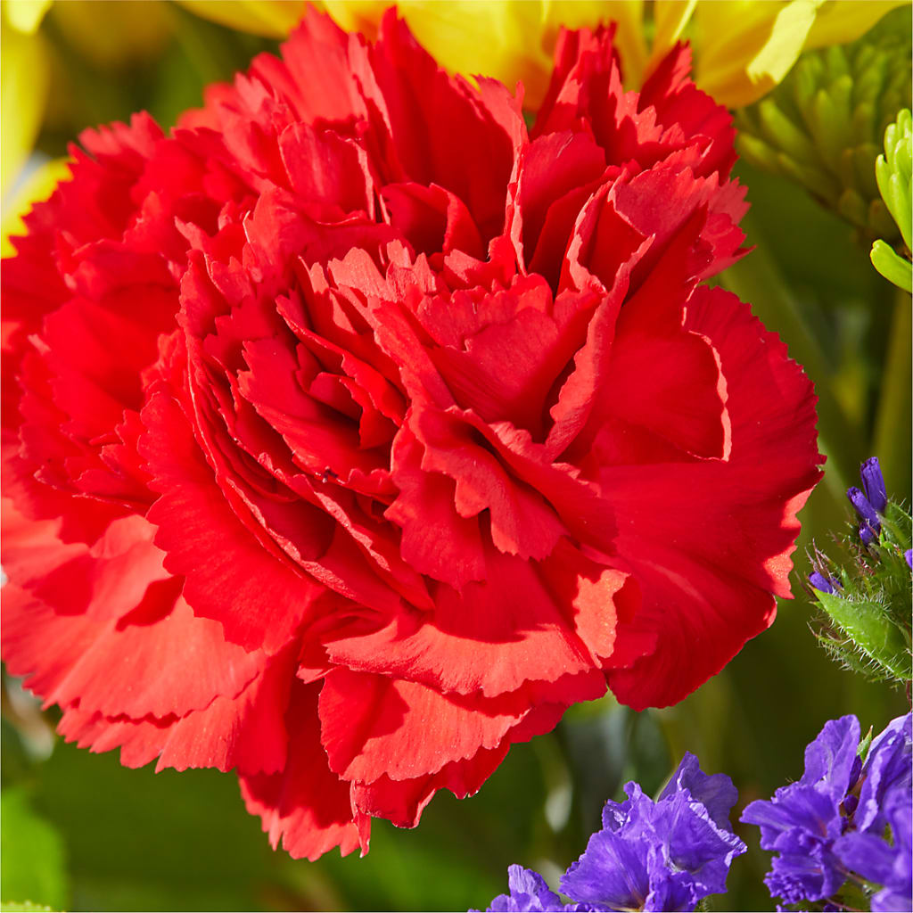 Brighter Days Bouquet –  The Whiting Flower Shop, Whiting IN