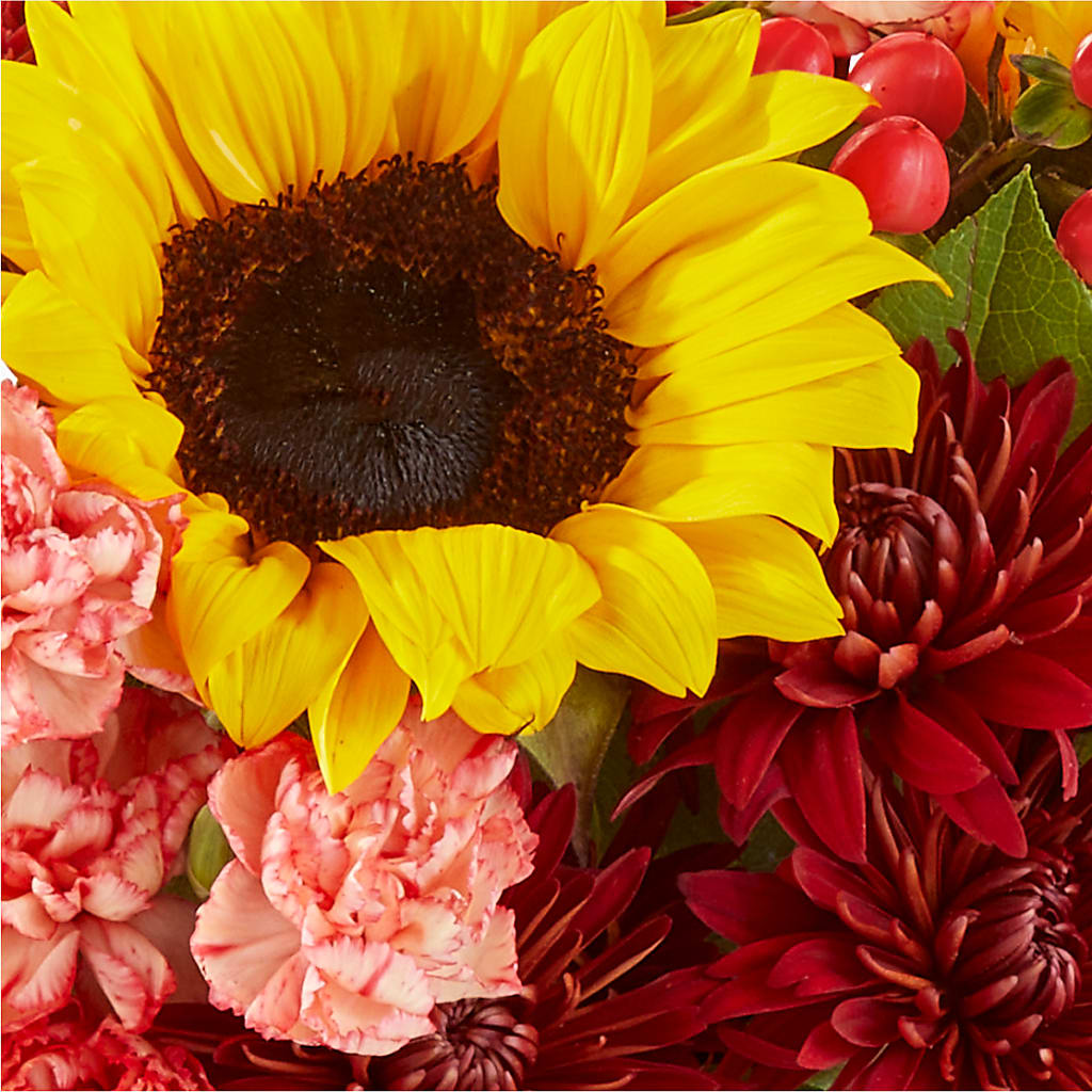 Fresh Cider Bouquet –  The Whiting Flower Shop, Whiting IN