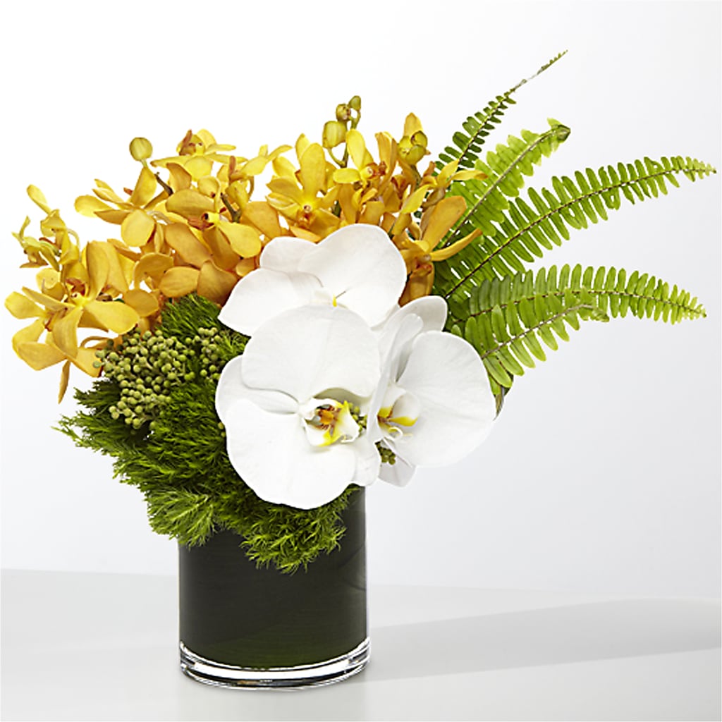 The Tropics –  The Whiting Flower Shop, Whiting IN
