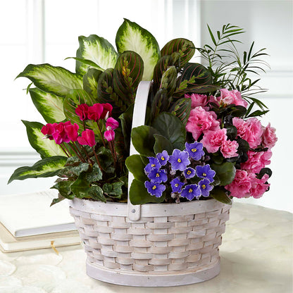 Peaceful Garden Planter –  The Whiting Flower Shop, Whiting IN
