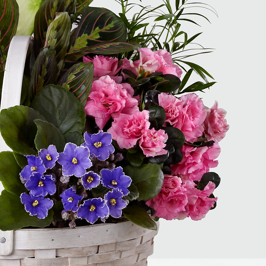 Peaceful Garden Planter –  The Whiting Flower Shop, Whiting IN