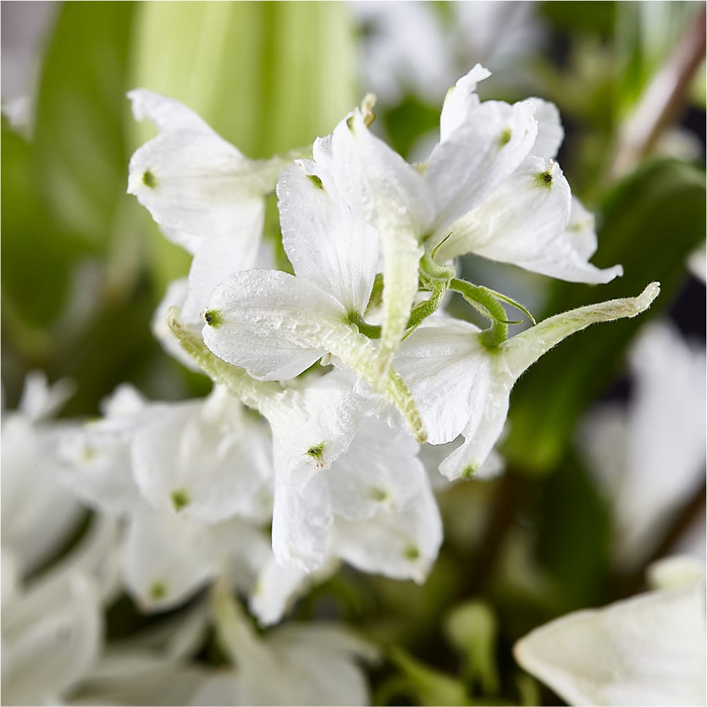 Classic Ivory – A Florist Original –  The Whiting Flower Shop, Whiting IN