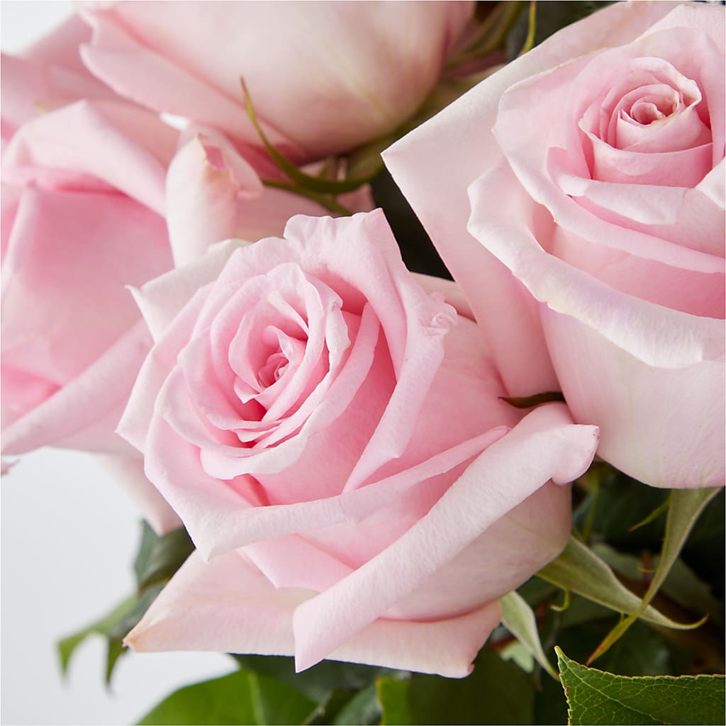 Picture Perfect Pink Rose Bouquet –  The Whiting Flower Shop, Whiting IN