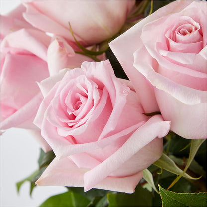 Picture Perfect Pink Rose Bouquet –  The Whiting Flower Shop, Whiting IN