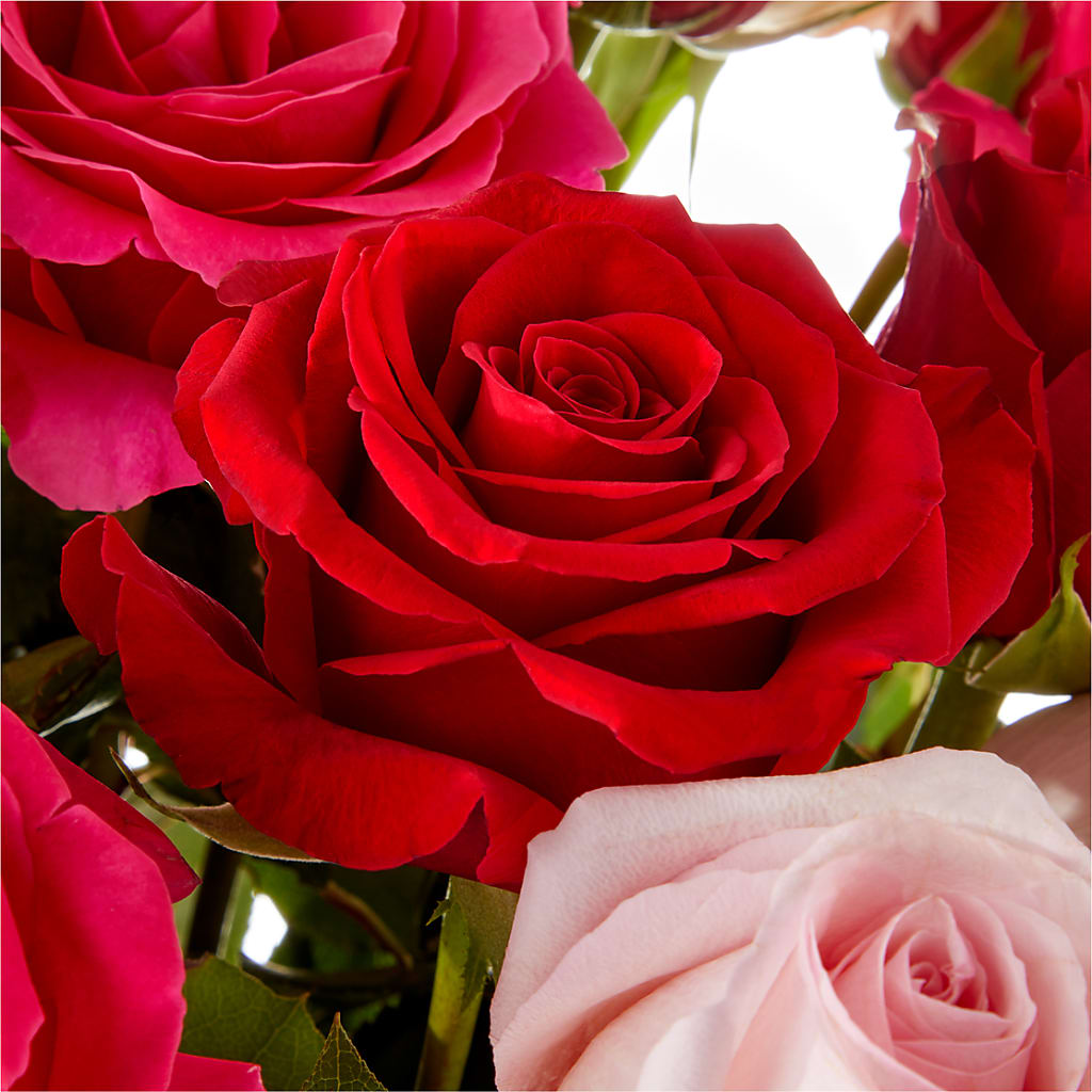 Love Notes Rose Bouquet –  The Whiting Flower Shop, Whiting IN
