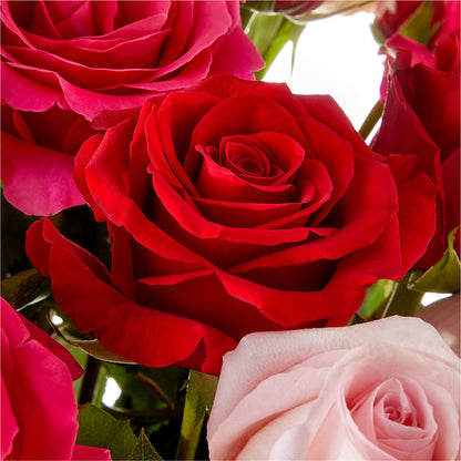 Love Notes Rose Bouquet –  The Whiting Flower Shop, Whiting IN