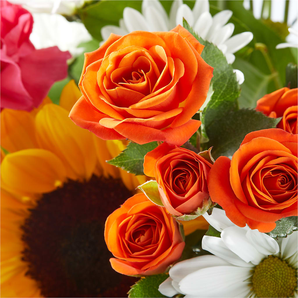 Sun-drenched Blooms Bouquet –  The Whiting Flower Shop, Whiting IN