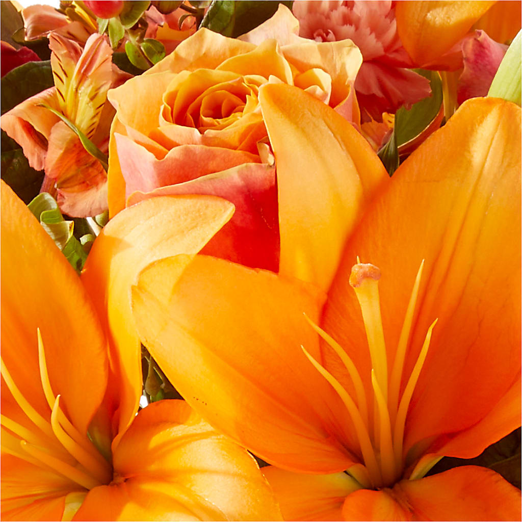 Afternoon Light Bouquet –  The Whiting Flower Shop, Whiting IN