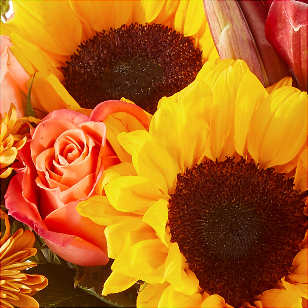 Acorn Lane Bouquet –  The Whiting Flower Shop, Whiting IN