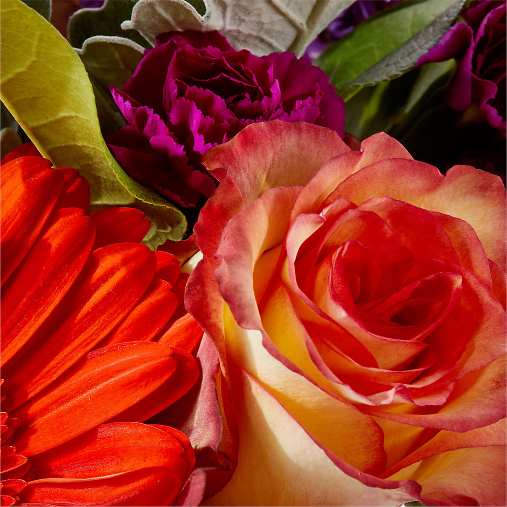 Sangria Bouquet –  The Whiting Flower Shop, Whiting IN