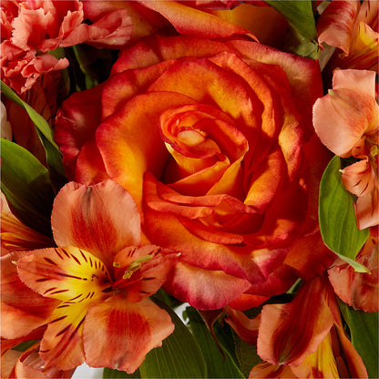 Apricot Glow Bouquet –  The Whiting Flower Shop, Whiting IN