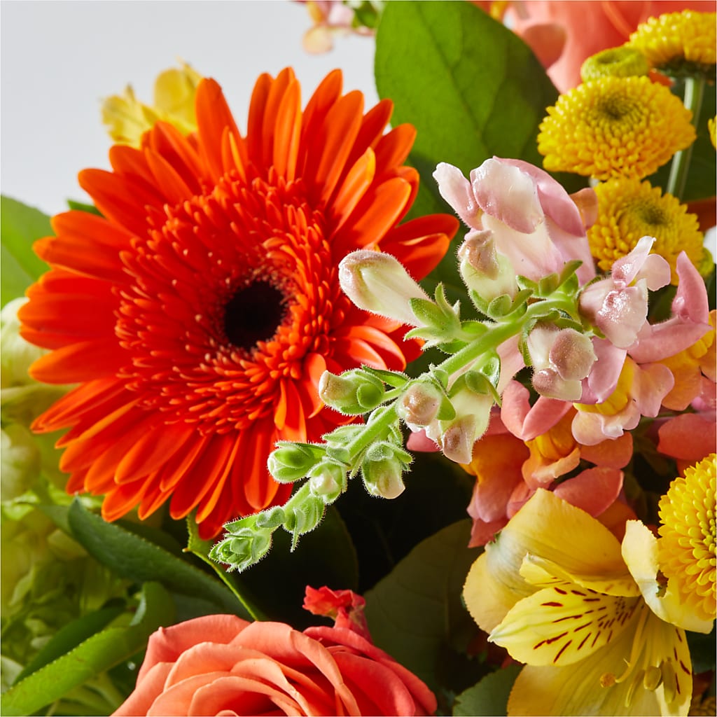 Autumn Sunshine Bouquet –  The Whiting Flower Shop, Whiting IN