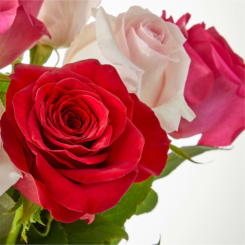 Charming Rose Bouquet –  The Whiting Flower Shop, Whiting IN
