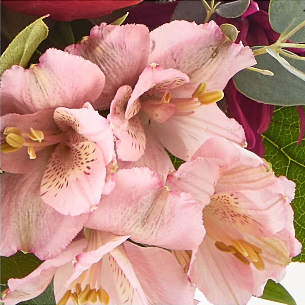 Berry Cobbler Bouquet –  The Whiting Flower Shop, Whiting IN