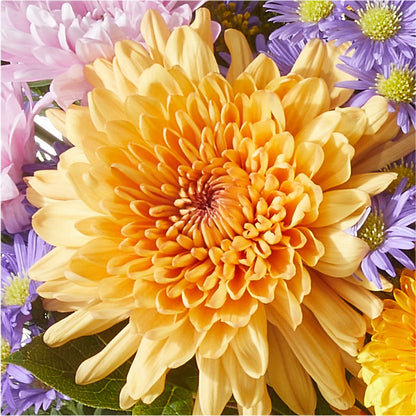 Countryside Bouquet –  The Whiting Flower Shop, Whiting IN