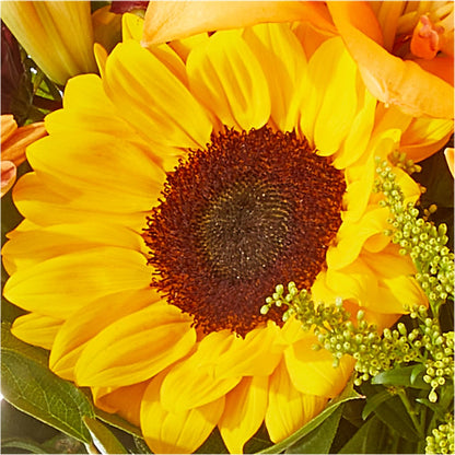 Seasons Change Bouquet –  The Whiting Flower Shop, Whiting IN