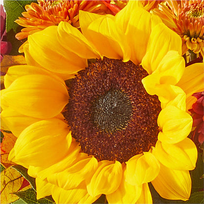 Sunny Side Bouquet –  The Whiting Flower Shop, Whiting IN