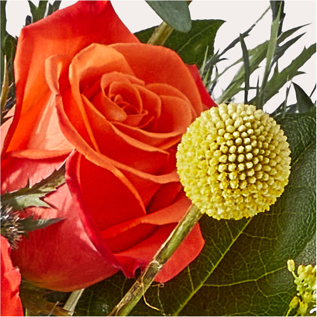 Disco Bouquet –  The Whiting Flower Shop, Whiting IN