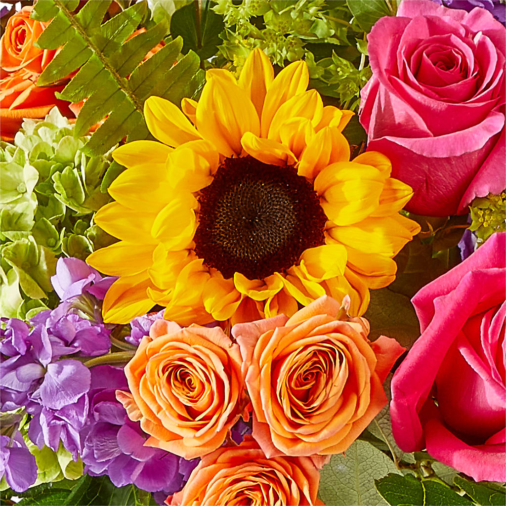 Vibrant Greetings Bouquet –  The Whiting Flower Shop, Whiting IN