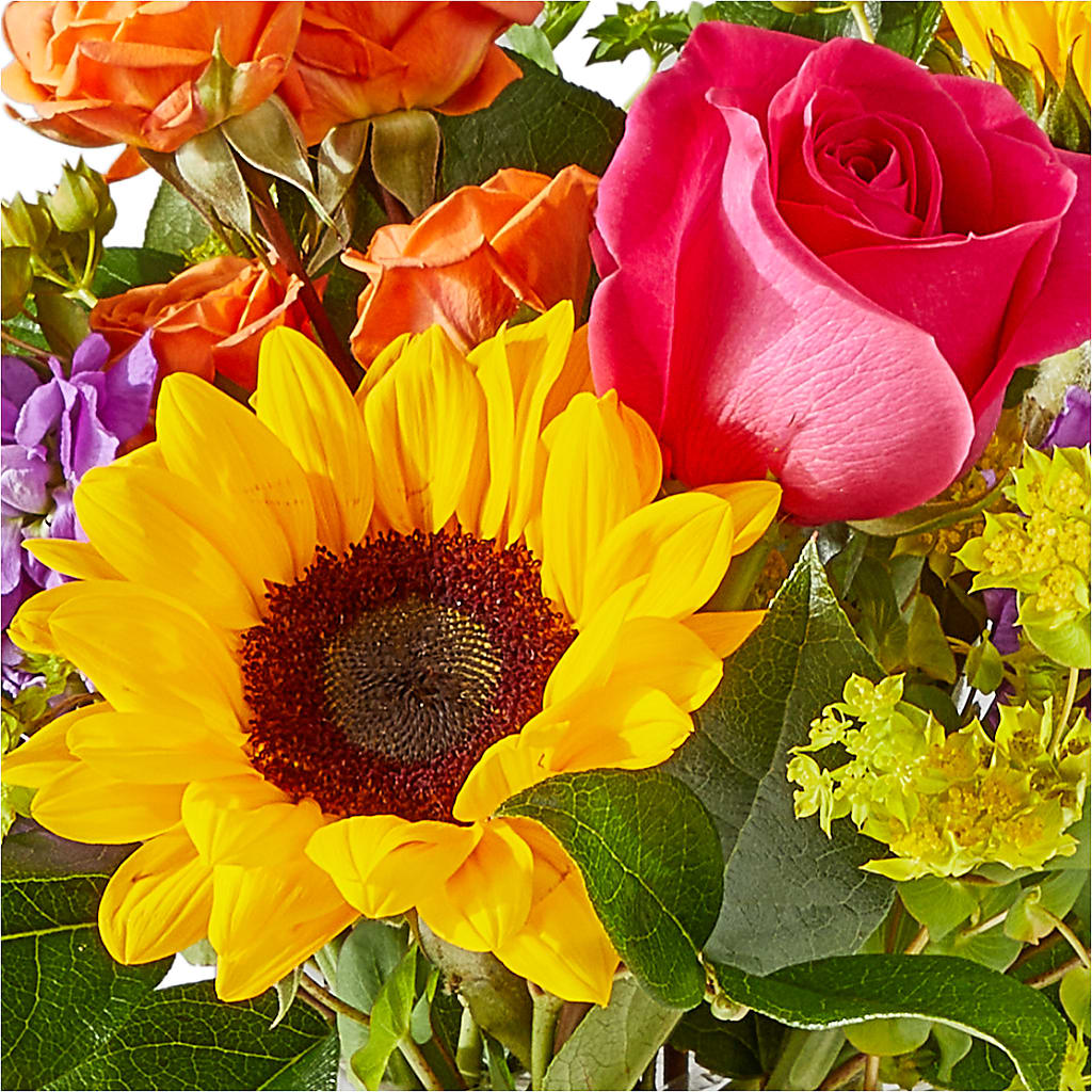 Vibrant Greetings Bouquet –  The Whiting Flower Shop, Whiting IN