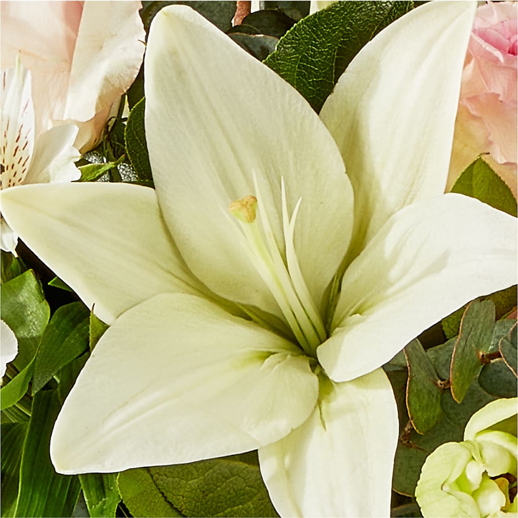 Ballet Slippers Bouquet –  The Whiting Flower Shop, Whiting IN